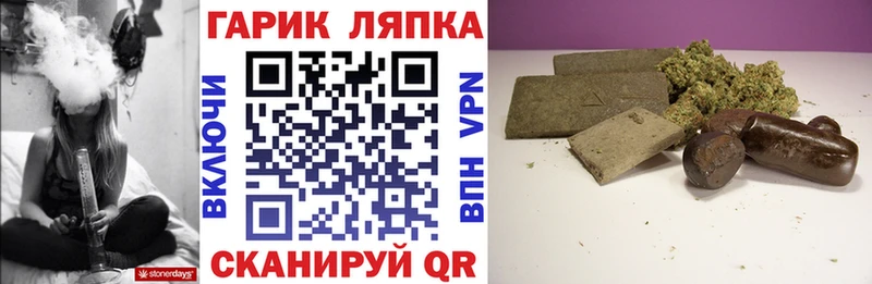 Купить где  Богородск  ГАШ VHQ 