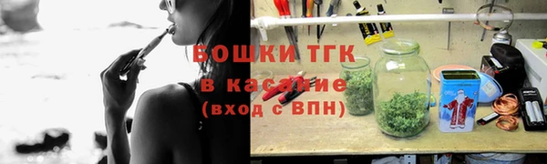 индика Каменка