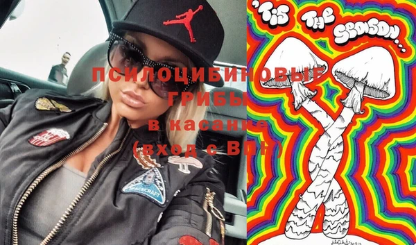 мяу мяу кристалл Инсар