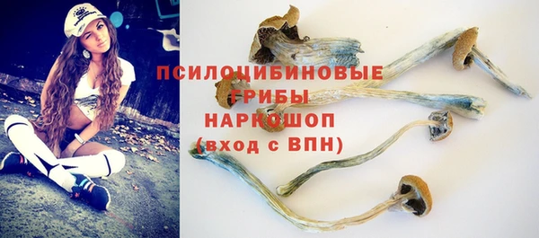 метамфетамин Инта