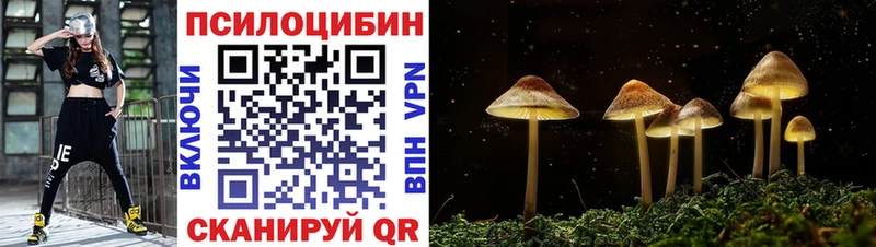 Псилоцибиновые грибы Psilocybine cubensis  Купить  Богородск 
